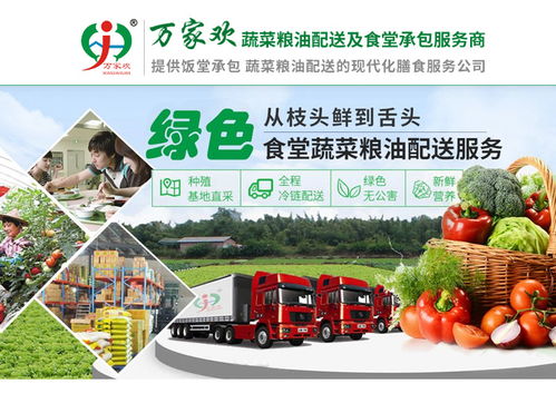 承包佛山万家欢公司柳州食堂项目 餐饮企业管理的核心步骤与策略